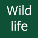 wildlife-nature-photo-deactivat avatar