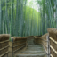 bamboukoura-blog