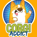 (c) Corgiaddict.com