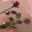 sweetmelodrama