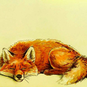 interstellar-space-fox avatar
