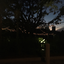the-dark-half-of-theblue