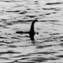 cryptozoologygirls:  Today is the 51st anniversary of the first Mothman sighting
