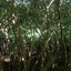 neature-neature