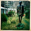 carpe-diem-dreams43-blog