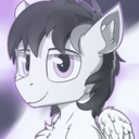 skybreakerpony avatar