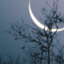 sunn-and-mmoon
