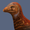 Pretty Terrible At Being Lizards Guaibasaurus Candelariensis