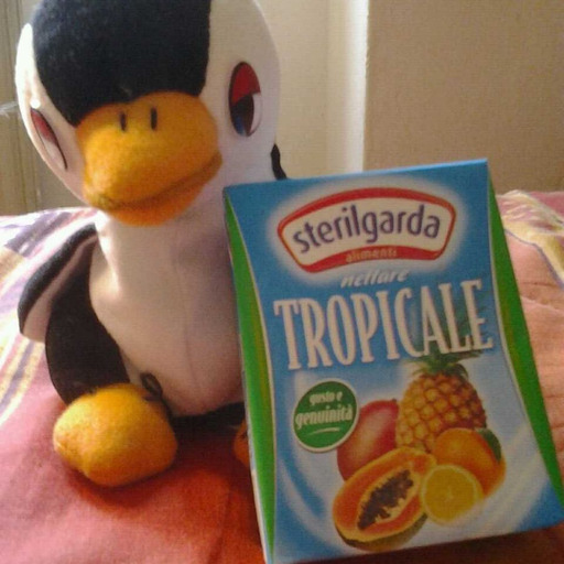 pinguinotropicale: Provocare.  