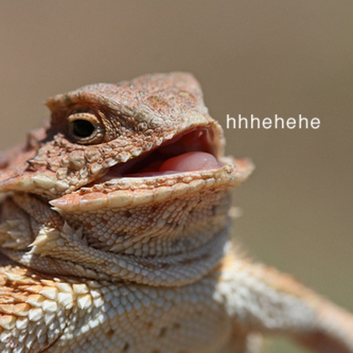 First 20 to reblog PROMOTED