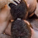 menmuscleandmansex avatar