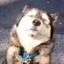 fluffyfeel