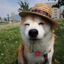 mydickisthealpha:  i was at petsmart tonight and this kid was watching all the dogs graduate from doggy training (they had little grad caps and everything omg) and he had his face pressed against the glass and he reverently whispered, ‘i feel so alive’