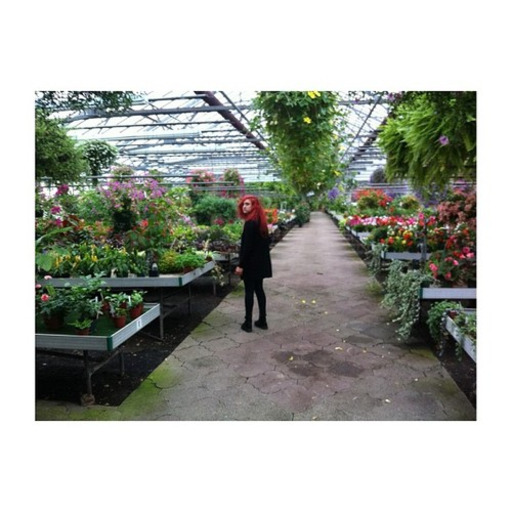 plant-queen:  I think I deserve an award for never being anyone’s first choice for anything ever 