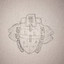 tae-cev-blog