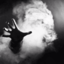 amorphousentropy
