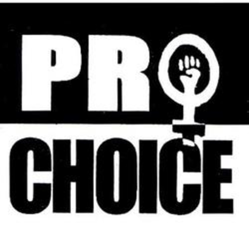 Porn photo antiprolife:  Things that lower abortion