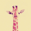 blogofmystudies-blog