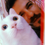 kedi-gillerden