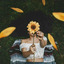 eldasholla-blog