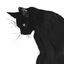 blackcatwearsmintpyjamas
