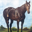 tuscanyanstallion-blog