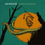 juniper-planet-blog