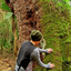 old-growth-holds-hope