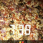 queenace0983