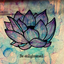 themagiclotus