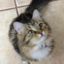 floofenninja