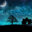 xmysticalnightxx