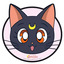 sailormoonsuperfan-blog