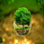 nickfull-blog