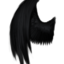 mydarkwings37