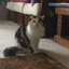 anncatz1