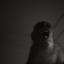 monsterfista