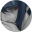 youngscion