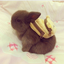 study-bun