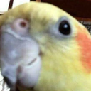 hopel3ss:  i save files as “fldskjfkldsjlfks” and then wonder why i can’t find