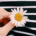 pimentapoesias:  Você foi emborae deixou pra trás seu caderno de poesiassujoincompletocom algumas folhas arrancadasna capaum desenho esboçadouma boca abertaum sorriso escancaradoVocê foi emborae deixou o seu cheirogravado na memória do meu olfatodeixou