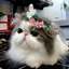chainsaw-kitty