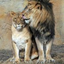 effectofaffection-blog