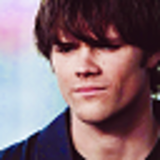 jarepadalecki:  my dash is literally so dead right now wow so  reblog this if you’re a supernatural blog and I’ll follow you!!!!