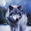 gorramwolf