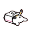 seulkitties
