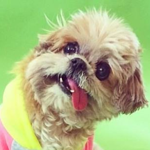 Porn photo marniethedog:  I love shopping!