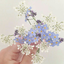 floral-detriment
