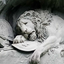 foodlover0612-blog