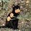 witchepurr-blog